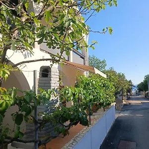 https://apartments-branka-vir.hotelinzadar.com